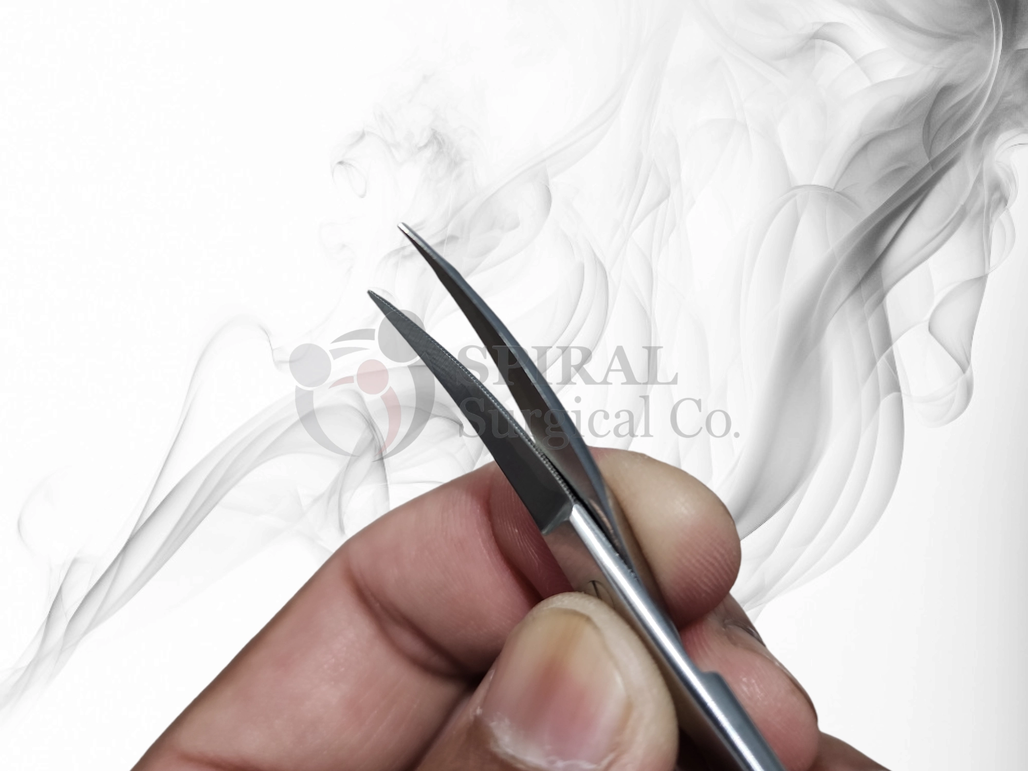 Kelly Scissors, Curved, 16cm - Image 2